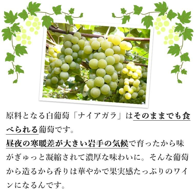 甘口 白 スパークリングワイン 720ml ナイアガラ スパークリング 岩手県産 日本ワイン | EDEL WEIN | 05