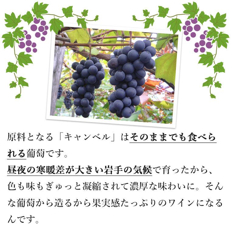 ロゼワイン 甘口 スパークリングワイン 720ml 月のセレナーデ ロゼ スパークリング  エーデルワイン 岩手県産 日本ワイン | EDEL WEIN | 06