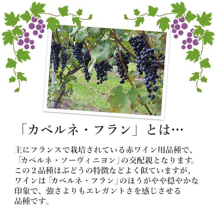 白ワイン 辛口 フラン・ブラン 白 750ml コルク栓 岩手県産 カベルネ・フラン エーデルワイン 日本ワイン |  | 04