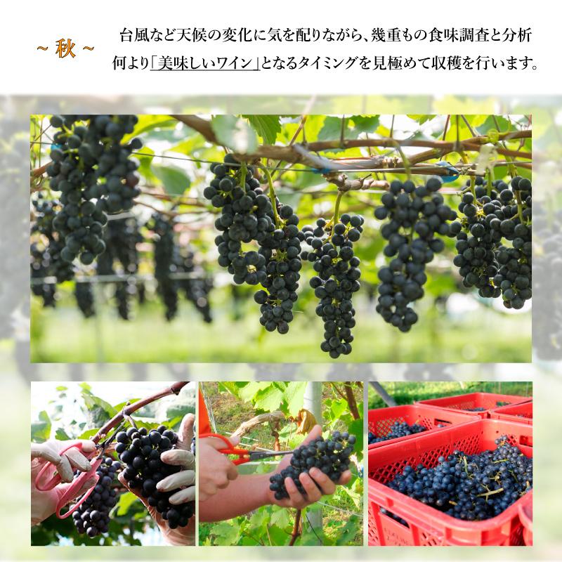 辛口 白ワイン 720ml コンツェルト 白 スクリューキャップ エーデルワイン 岩手県産 日本ワイン | EDEL WEIN | 13