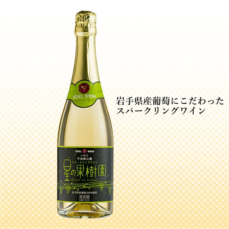 辛口 スパークリングワイン エーデルワイン 星の果樹園 白 720ml 岩手 日本ワイン｜edelwein｜02