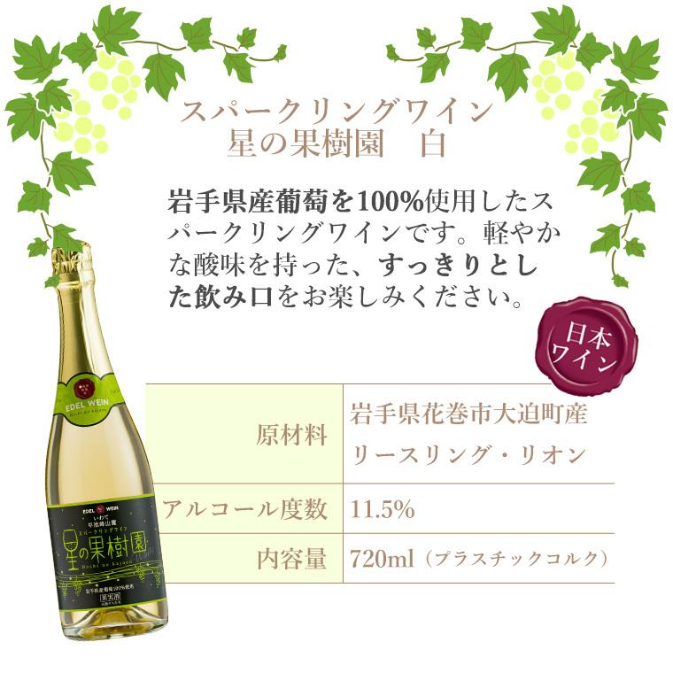 辛口 スパークリングワイン エーデルワイン 星の果樹園 白 720ml 岩手 日本ワイン｜edelwein｜04