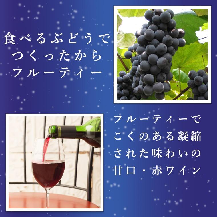 赤ワイン 甘口 エーデルワイン 月プレミアム 赤 キャンベル 岩手 720ml 日本ワイン | EDEL WEIN | 02
