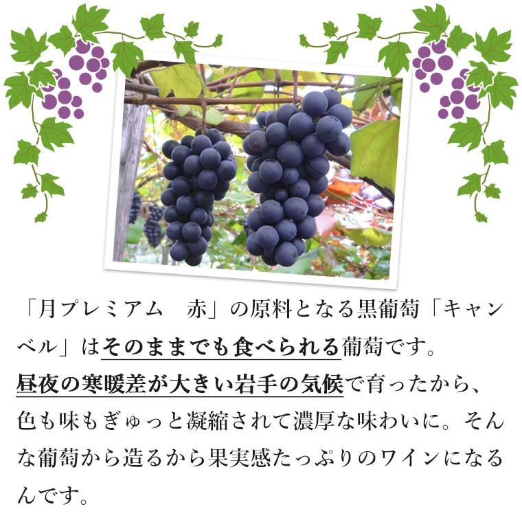 赤ワイン 甘口 エーデルワイン 月プレミアム 赤 キャンベル 岩手 720ml 日本ワイン | EDEL WEIN | 05