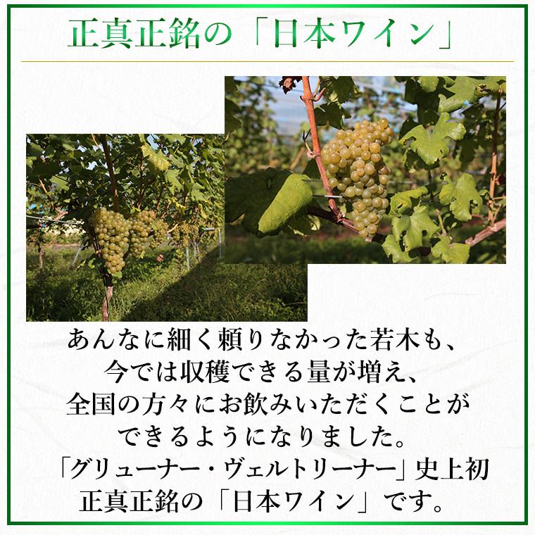 白ワイン 辛口 グリューナー・ヴェルトリーナー 2024 白 750ml コルク栓 エーデルワイン 岩手県産 グリューナー・ヴェルトリーナー 日本ワイン |  | 07