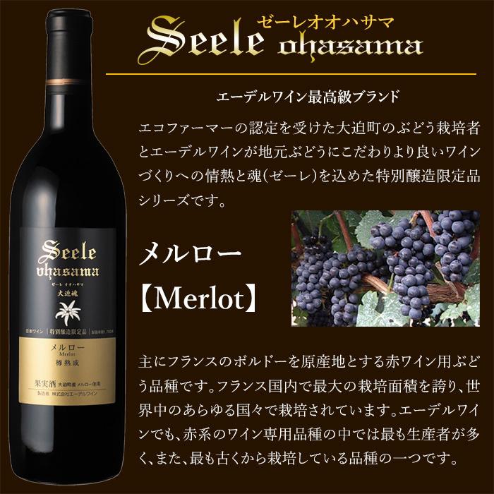 アルカンタレアメルロー中株　ブルーリーフぎのざさん専用 EDEL WEIN 辛口 赤ワイン フルボディ 750ml ゼーレオオハサマ メルロー