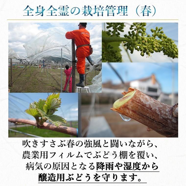 赤ワイン 辛口 フルボディ 750ml 60周年記念ワイン ゼーレ60 B blend コルク栓 エーデルワイン 岩手県産 日本ワイン | EDEL WEIN | 05