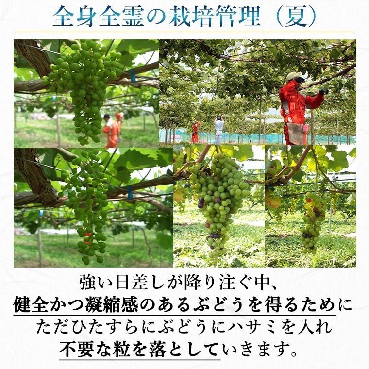 赤ワイン 辛口 フルボディ 750ml 60周年記念ワイン ゼーレ60 B blend コルク栓 エーデルワイン 岩手県産 日本ワイン | EDEL WEIN | 06
