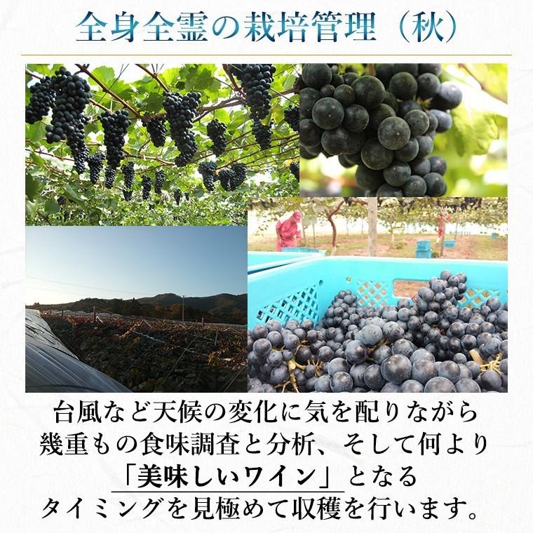 赤ワイン 辛口 フルボディ 750ml 60周年記念ワイン ゼーレ60 B blend コルク栓 エーデルワイン 岩手県産 日本ワイン | EDEL WEIN | 07