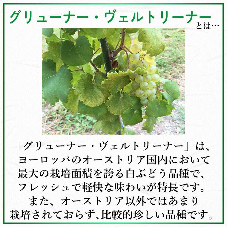 白ワイン 辛口 グリューナー・ヴェルトリーナー 樽熟成 2023 白 750ml コルク栓 エーデルワイン 岩手県産 グリューナー・ヴェルトリーナー 日本ワイン |  | 02