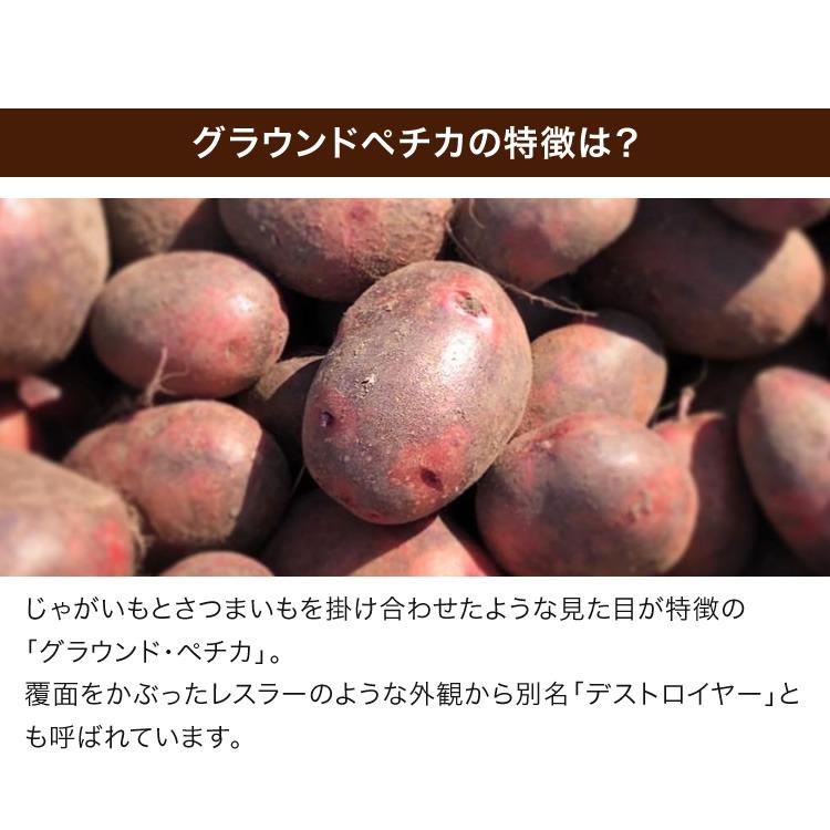 秋の味覚満喫セット 簡易包装 送料無料 ベーコン ソーセージ 北海道 ジャガイモ インカのめざめ グラウンドペチカ 詰め合わせ Atm19 ハム ベーコン エーデルワイス 通販 Yahoo ショッピング