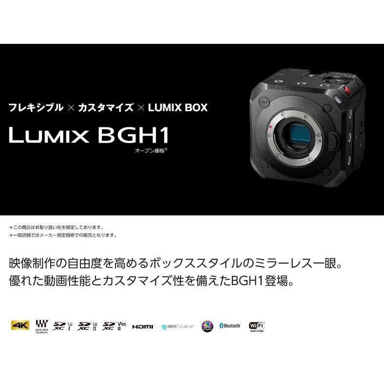 パナソニック GHシリーズ デジタルカメラ LUMIX ボックススタイル 優れた動画性能 デジタルカメラ/ボディ DC-BGH1｜edenden｜02