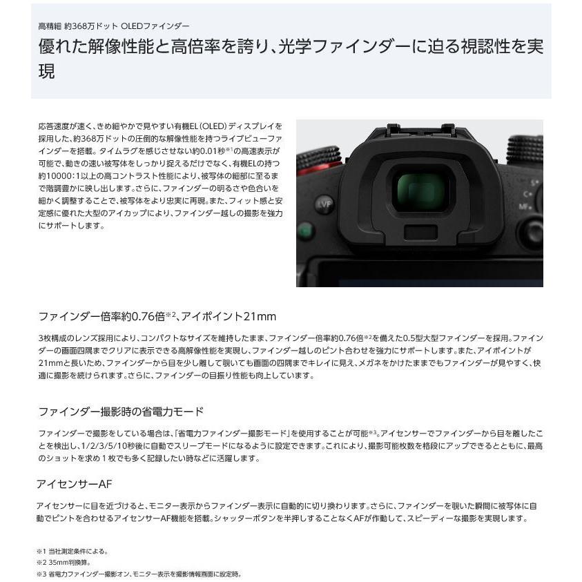 LUMIX Gシリーズ パナソニック フルサイズミラーレス一眼カメラ「LUMIX