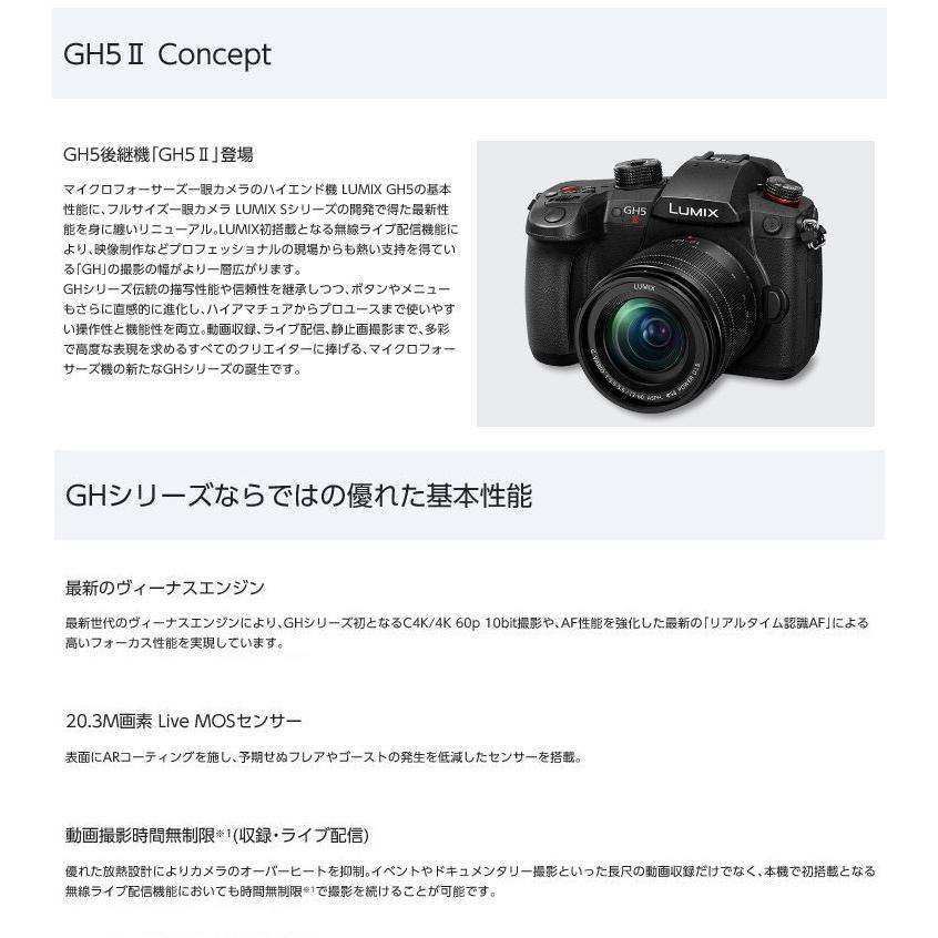 LUMIX Gシリーズ パナソニック フルサイズミラーレス一眼カメラ