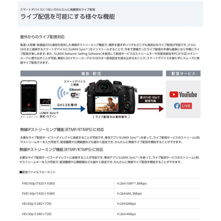 LUMIX Gシリーズ パナソニック フルサイズミラーレス一眼カメラ