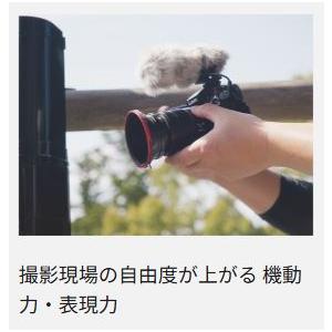パナソニック デジタルカメラ GHシリーズ LUMIX 圧倒的な映像表現 ダイナミックレンジブースト 32bitフロート録音対応 デジタル一眼カメラ ボディ単体 DC-GH7の画像
