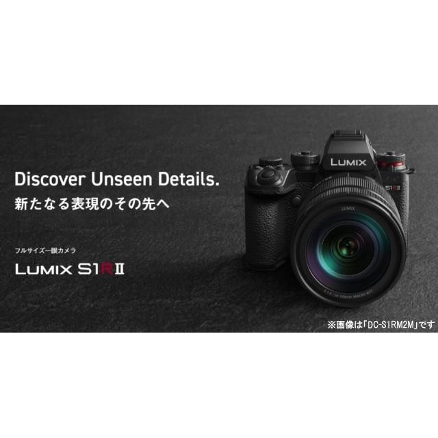 LUMIX 【即納】デジタルカメラ ミラーレス一眼 パナソニック 小型 約