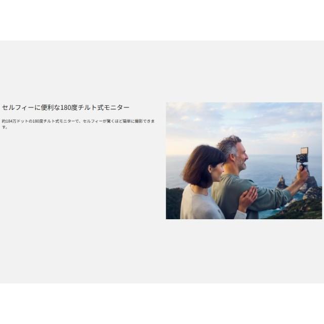LUMIX デジタルカメラ パナソニック LEICA DCレンズ 光学30倍 LUMIX デジタルカメラ パナソニック LEICA DCレンズ 光学30倍