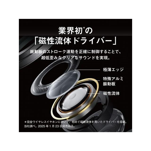 Technics（テクニクス） インサイドホン パナソニック Technics