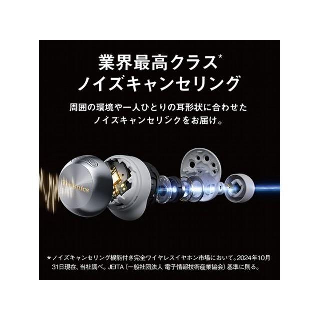 Technics（テクニクス） インサイドホン パナソニック Technics