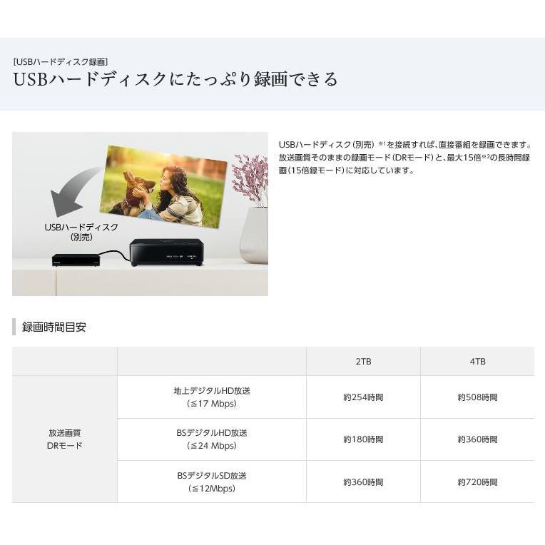 ポータブルテレビ パナソニック 19v型 VIERA プライベートビエラ スタンダードモデル(非防水)  地上・BS・110度 CS デジタルテレビ ブラック UN-19F11｜edenden｜08