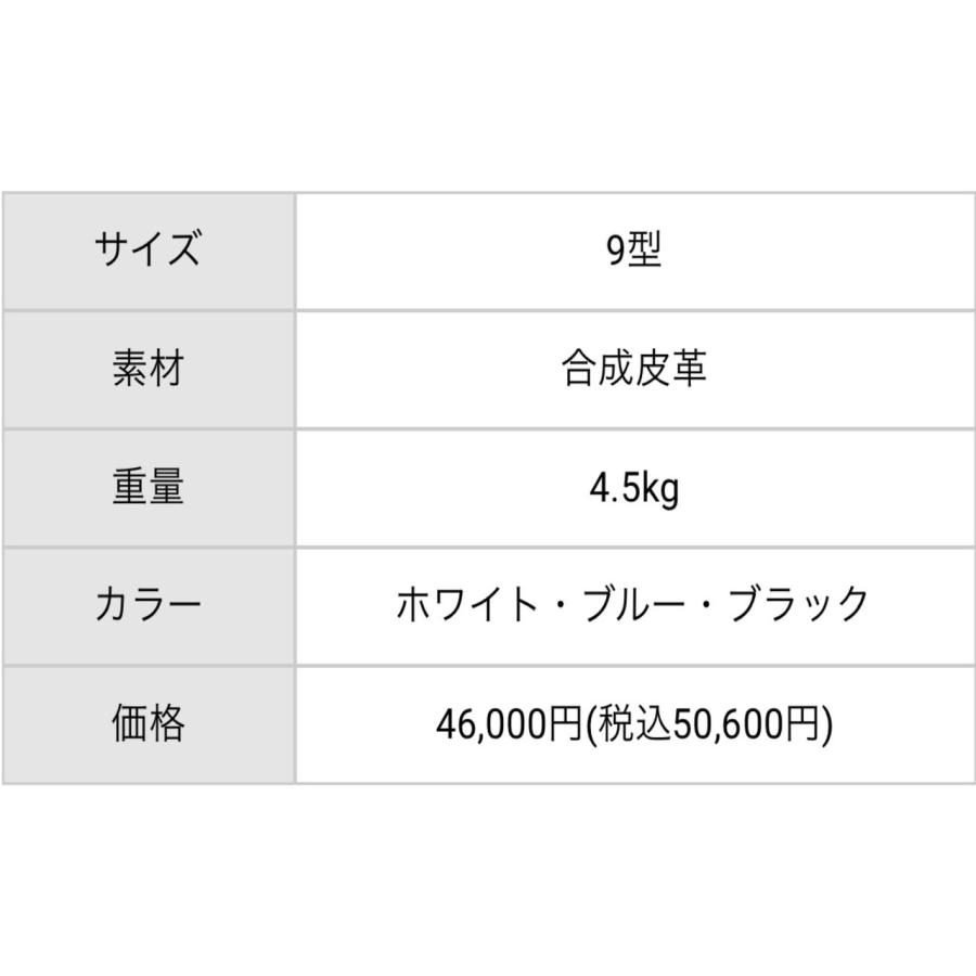 アキラプロダクツ 2024 キャディバッグ 9インチ カートバッグ アキラプロダクツ 2024 キャディバッグ 9インチ カートバッグ