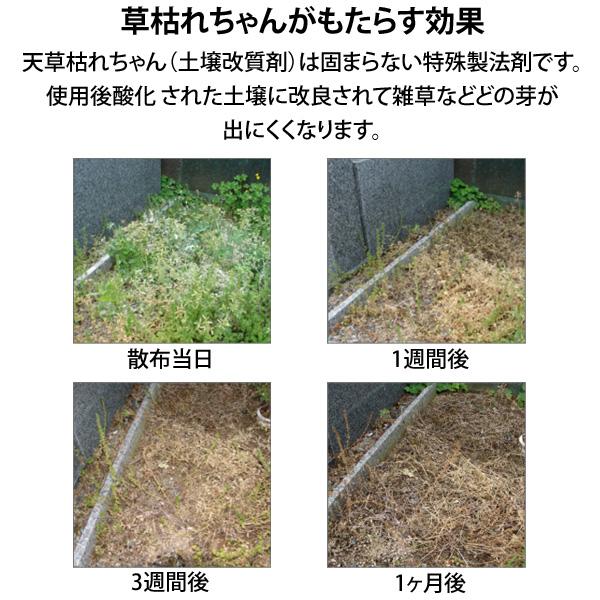 在庫 4936980520695 草枯れちゃん 5kg 完全無農薬除草材 非農耕地