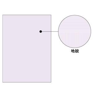 あすつく対応 「直送」 ヒサゴ ［BP2110Z］ コピー偽造防止用紙浮き文字タイプＡ４両面【L2D】 浮き文字タイプ