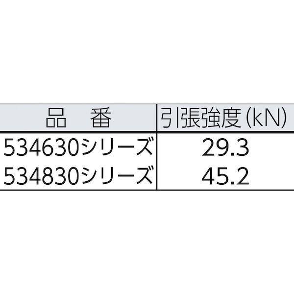 あすつく対応　「直送」　BlueWater　セイフライン　黒　BlueWater　534630BK　9．5φ×91m