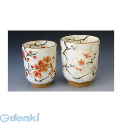 ブランド登録なし - 【個数：1個】KTA017  直送 代引不可・他製造会社同梱不可 紅白梅 組湯呑