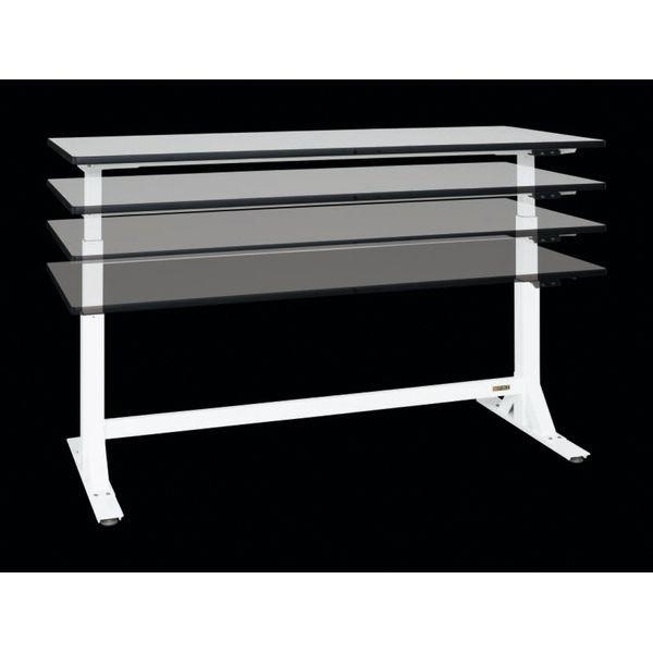 ロイヤルカナン 犬用 低分子プロテイン 1kg×5個 月曜?土曜は15時、日曜