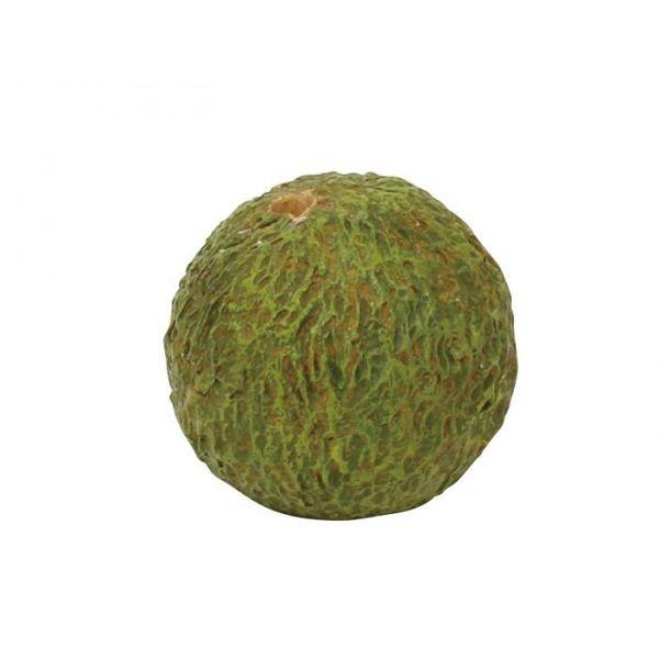 4988441809740 【30個入】 いろはに花 苔玉 （S） 丸 400868901【キャンセル不可】