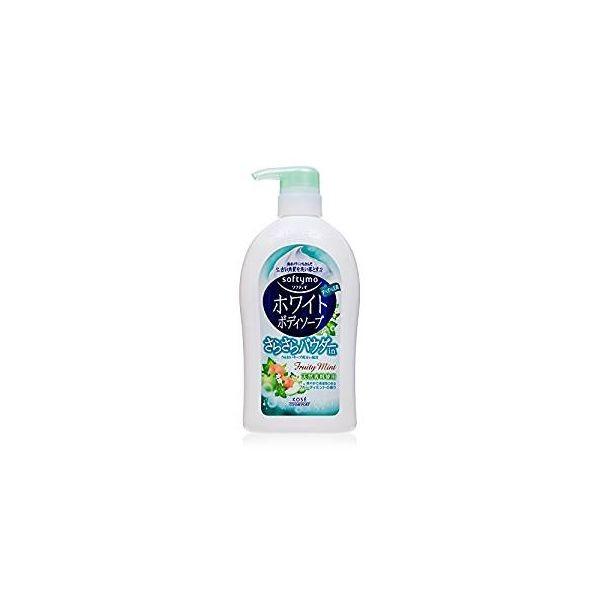 ブランド登録なし - 4971710318807 【12個入】 ソフティモボディソープパウダーイン600ML【取りやめる不可】 コスメ、美容、ヘアケア-ボディケア