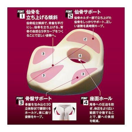 アルファックス 621607 仙骨クッション 仙律 ルビー｜edenki｜03