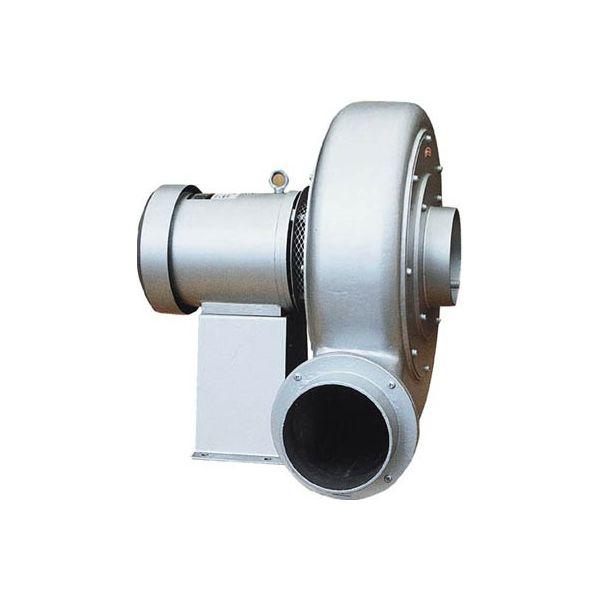 空飛ぶ画家糸川裕志の牛と田んぼの蓮華草を描いた油絵、F6号額入り