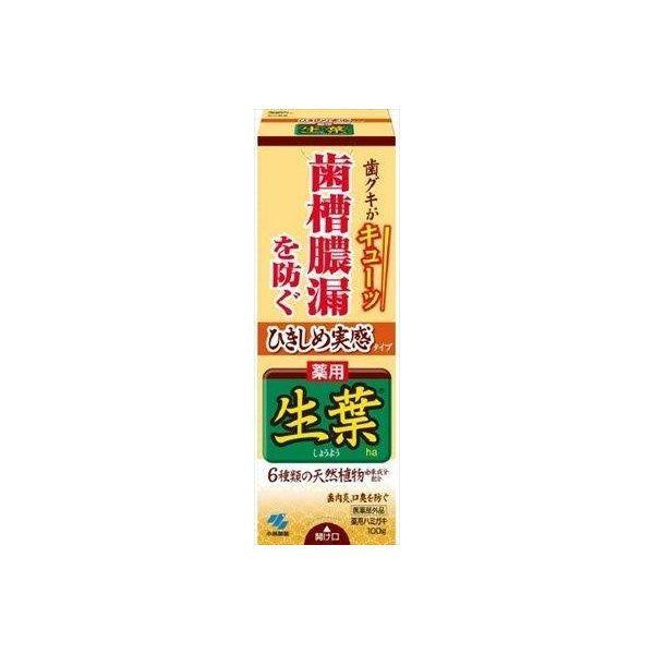 4987072072752 【48個入】 ひきしめ生葉100G 93380【キャンセル不可】
