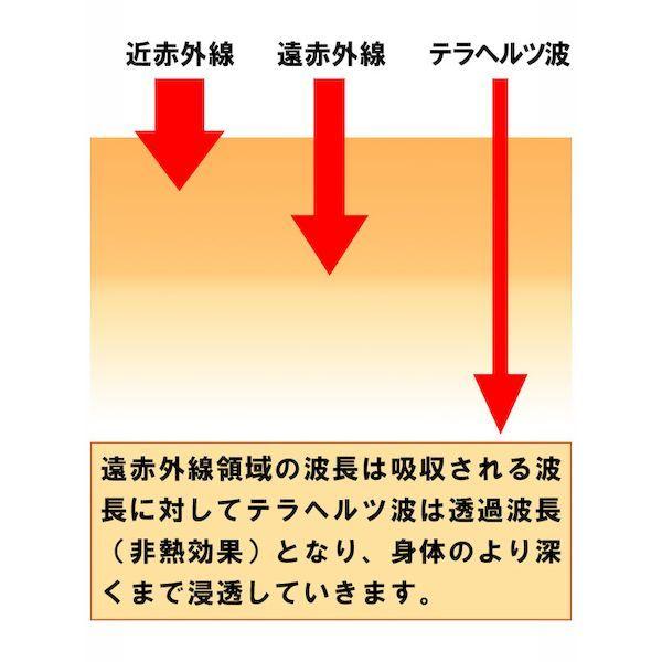 K13232-1 テラヘルツ・アイトリートメント K132321｜edenki｜03