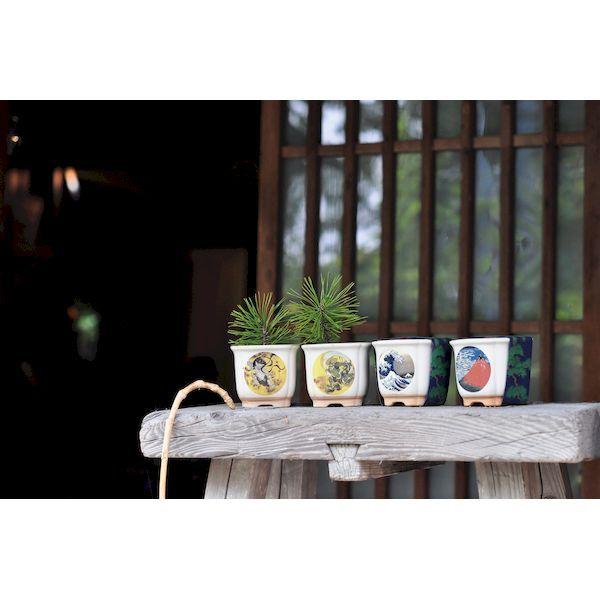 聖新陶芸 4528757032212 JAPANESE BONSAI 赤富士 GD-64004 : 測定器