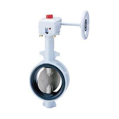 KITZ キッツ G-16DJ 125A 直送 代引不可 ダクタイル鉄製DJシリーズ G−16DJ G16DJ125A