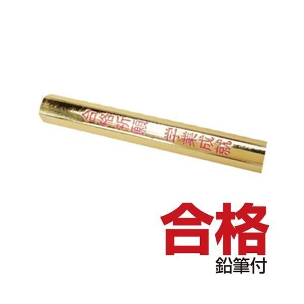 在庫 HOZAN ホーザン DK-28 2026年度版 電気工事士技能試験工具セット DK28 VVFストリッパーセット 工具セット 技能試験対策ハン あすつく対応_9