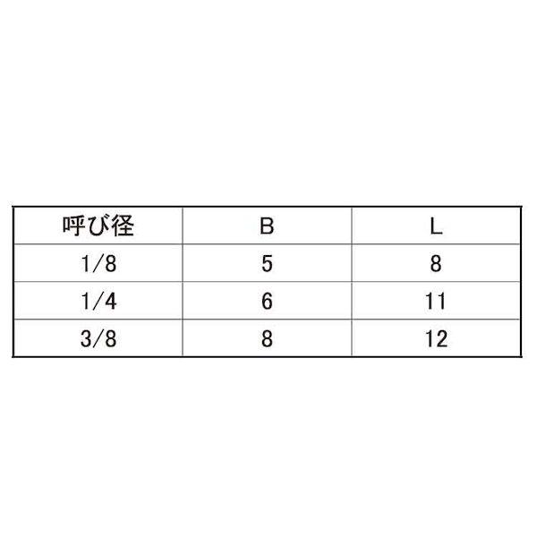 【個人宅配送不可】ＳＵＮＣＯ 4525824663126 【100個入】 直送 代引不可 ピーク テーパープラグ R3／8_2