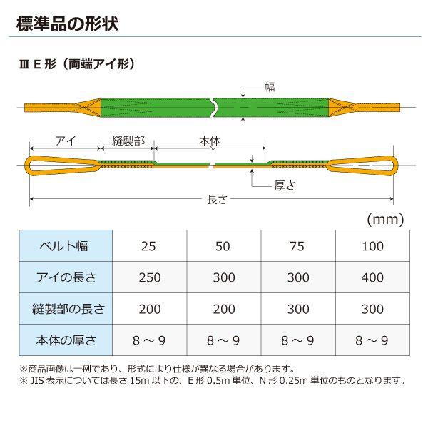 シライ N3E-100X9.5 直送 代引不可 ナイロンスリング N3E 両端アイ形 3．2ton 幅100mm 長さ9．5m N3E100X9.5_1