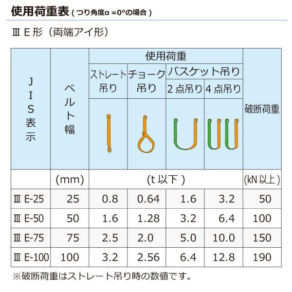 シライ N3E-100X9.5 直送 代引不可 ナイロンスリング N3E 両端アイ形 3．2ton 幅100mm 長さ9．5m N3E100X9.5_2