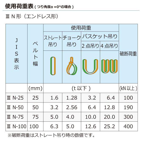 シライ N3N-100X4.25 直送 代引不可 ナイロンスリング N3N エンドレス形 6．3ton 幅100mm 長さ4．25m N3N100X4.25
