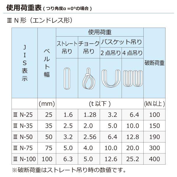 シライ PET3N-100X3.0 直送 代引不可 ポリエステルスリング PET3N エンドレス形 6．3ton 幅100mm 長さ3m PET3N100X3.0｜edenki｜03