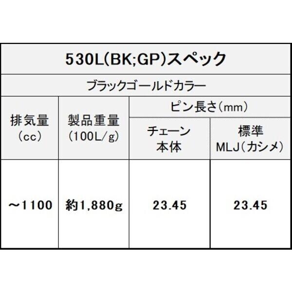 江沼チェーン 4571291771222 EK チェーン THREED 530L/3D (BK/GP) 126L MLJ 4571291771222