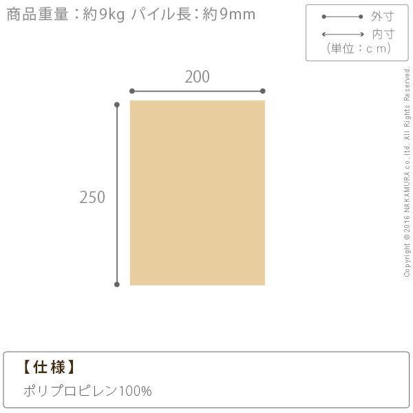 51000171IV 直送 代引不可 ベルギー製モダンデザイン ウィルトン織ラグ 〔リトモ〕 250x200cm アイボリー_2