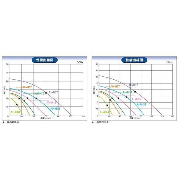 【個数：1個】SDG 旧昭和電機 AH-H10-L313 直送 代引不可 高効率電動送風機 AHH10L313_2