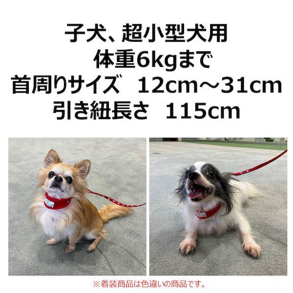 アース・ペット 4994527946100 ハンドラー 初めてのお散歩デビュー ソフト首輪付引ひも 子犬〜超小型犬用 バグ グリーン |  | 01