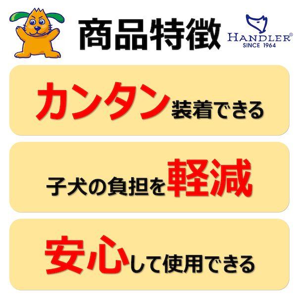 アース・ペット 4994527946100 ハンドラー 初めてのお散歩デビュー ソフト首輪付引ひも 子犬〜超小型犬用 バグ グリーン |  | 02